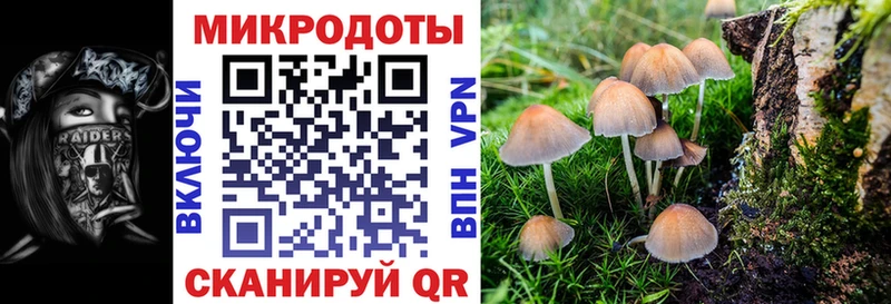 Псилоцибиновые грибы прущие грибы  kraken маркетплейс  Инта  где купить наркоту 